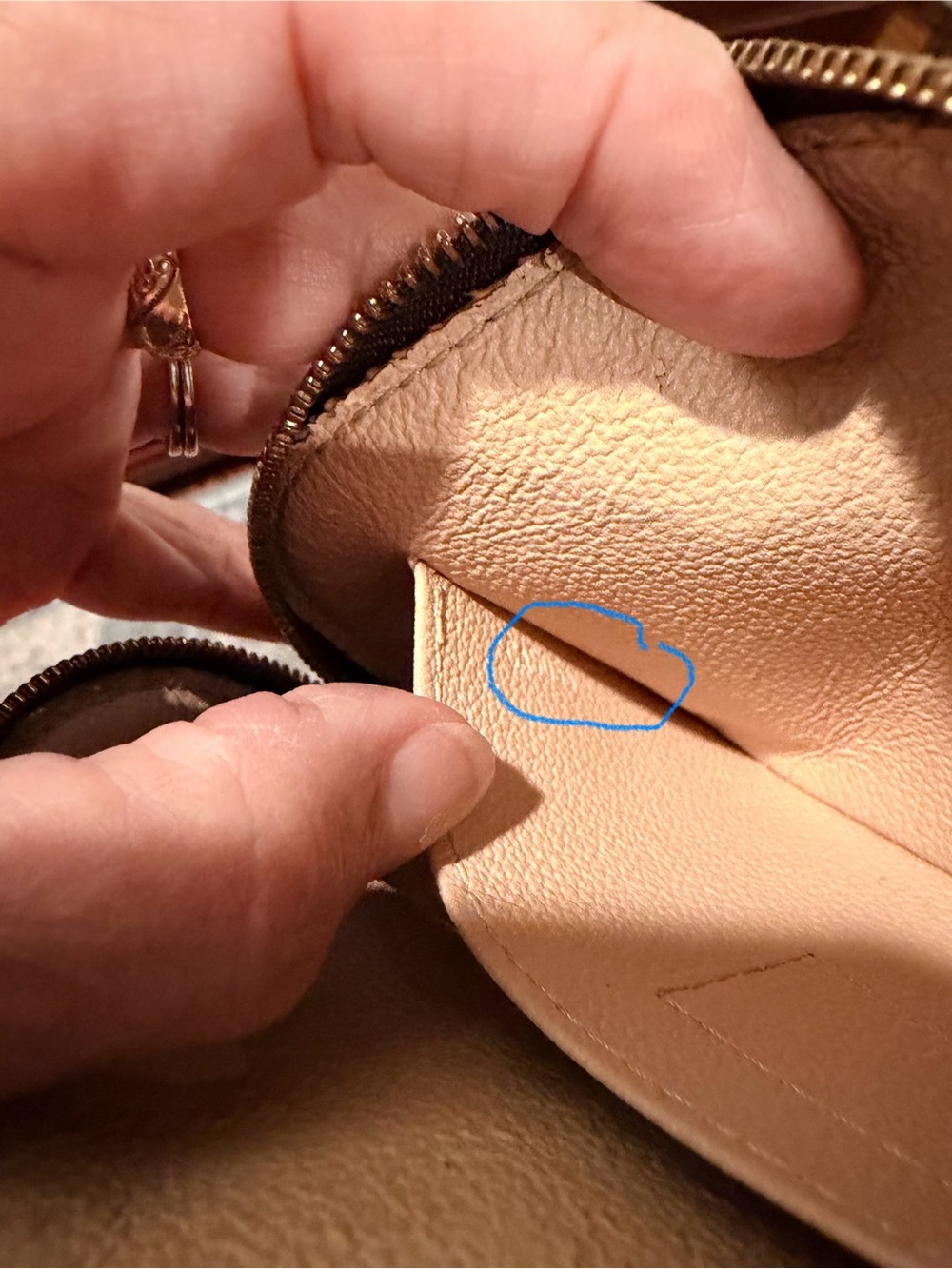 Louis Vuitton Monogram Canvas Cosmetic Pouch in Brown and Gold - Picture 10 of 11